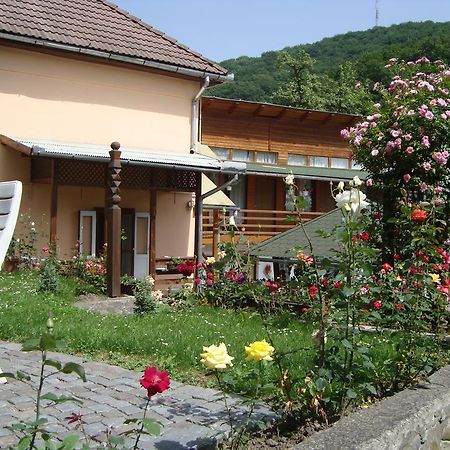 Casa Katona Apartment Sovata Exterior foto